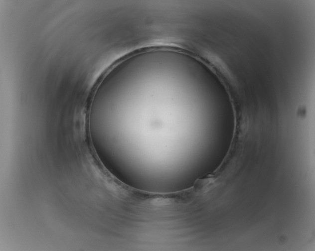 X0000113641268200910021908