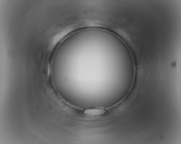 X0000113641269200910021908