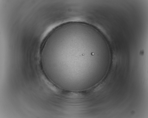 X0000113641270200910021908