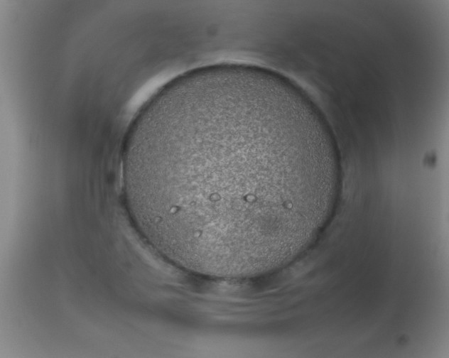 X0000113641271200910021908