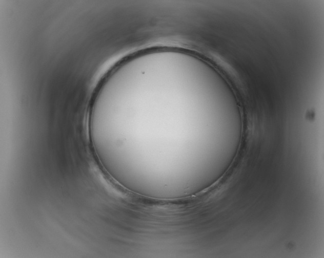 X0000113641272200910021908