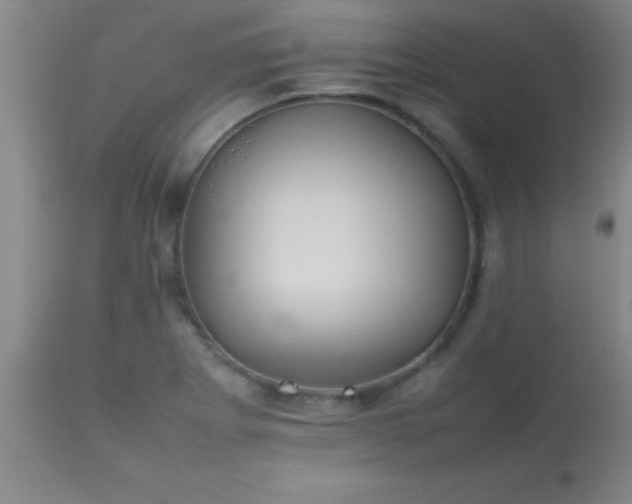 X0000113641273200910021908