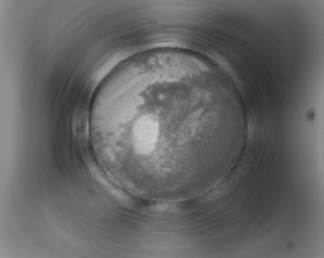 X0000113641274200910021908