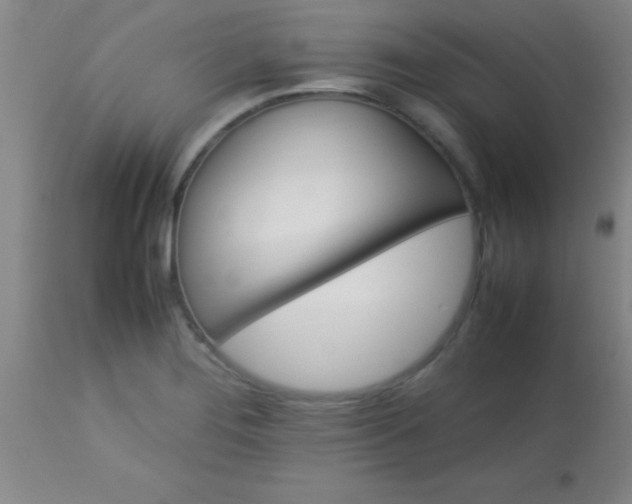 X0000113641276200910021908