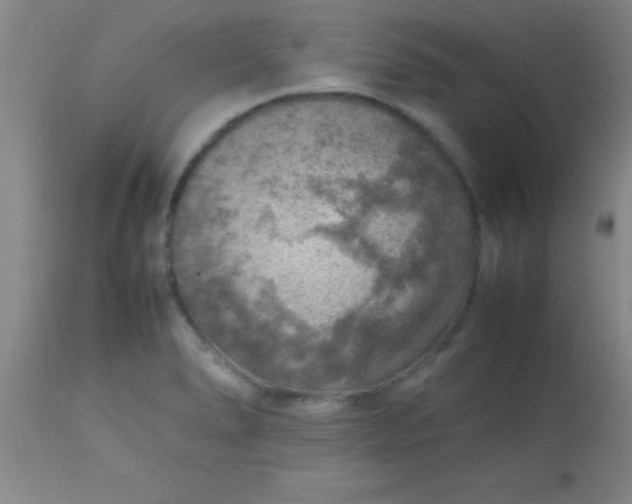 X0000113641278200910021908