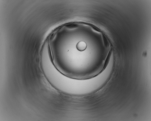 X0000113641280200910021908