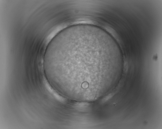 X0000113641282200910021908