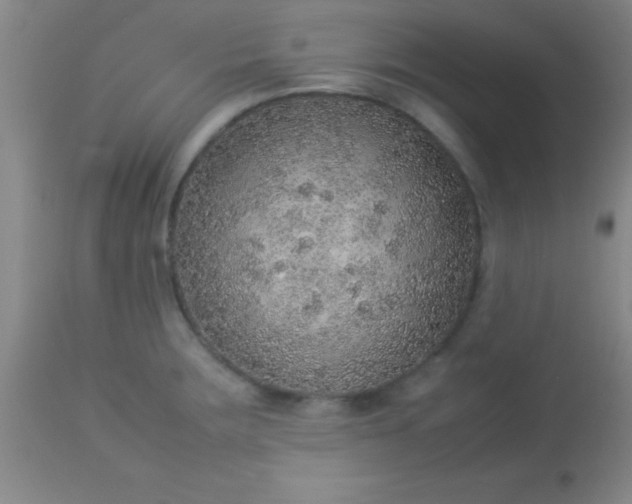 X0000113641283200910021907