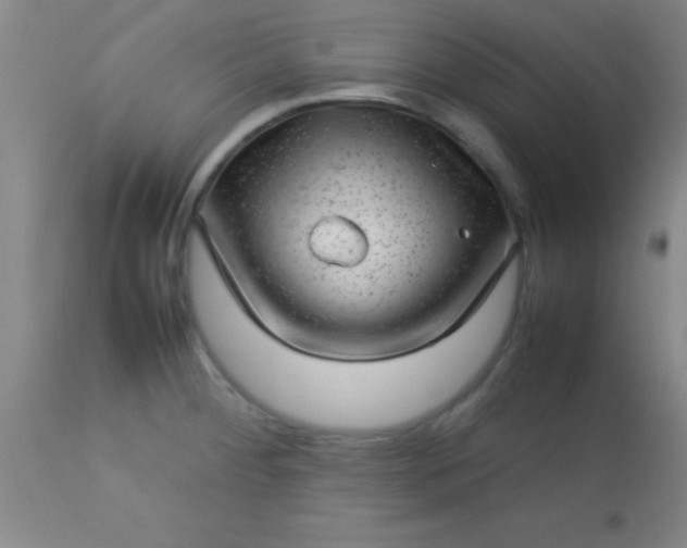 X0000113641284200910021907