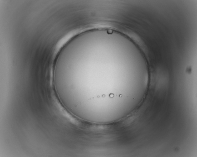 X0000113641286200910021907