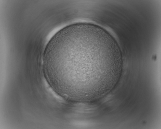 X0000113641287200910021907