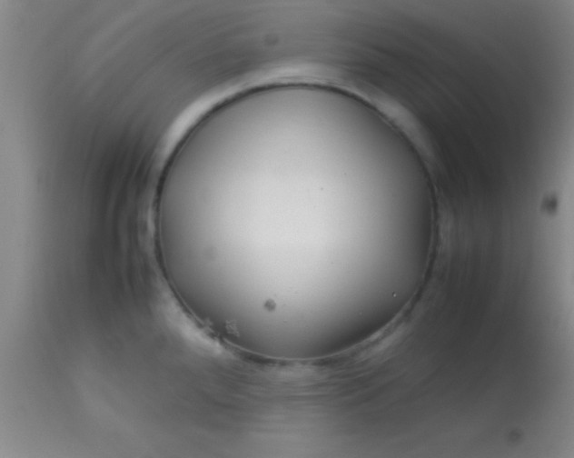 X0000113641288200910021907