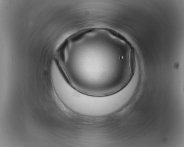 X0000113641289200910021907