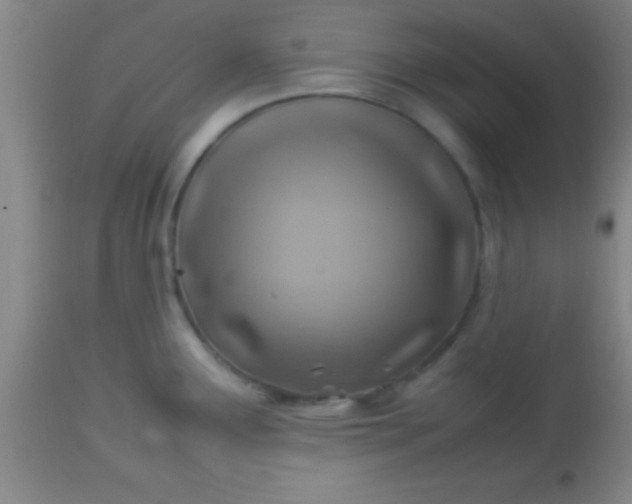 X0000113641291200910021907