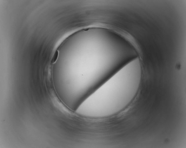 X0000113641292200910021907