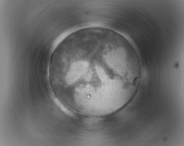 X0000113641294200910021907