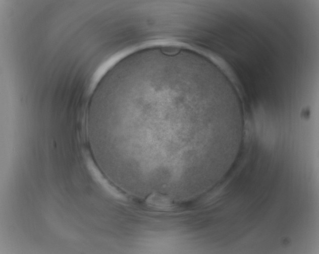 X0000113641295200910021907