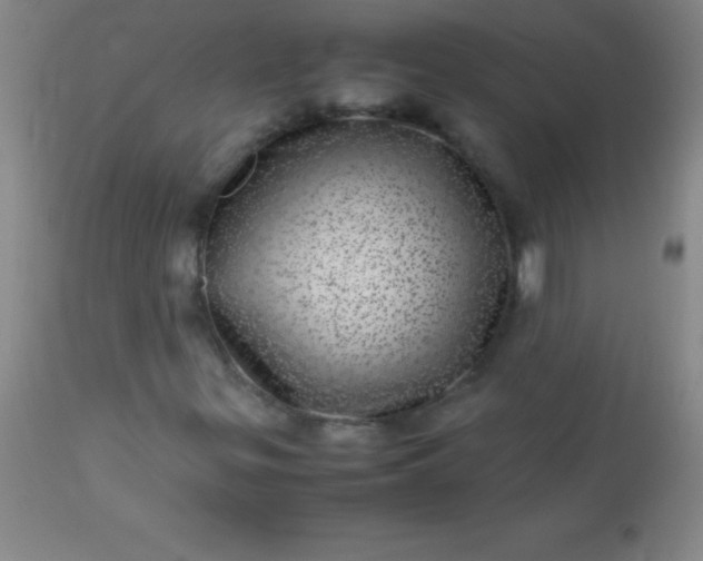 X0000113641299200910021906