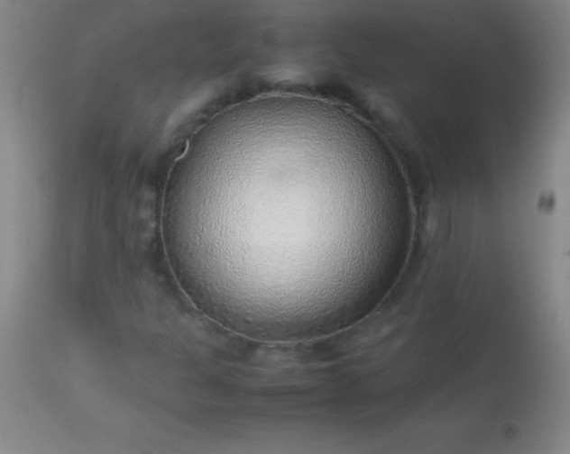 X0000113641301200910021907