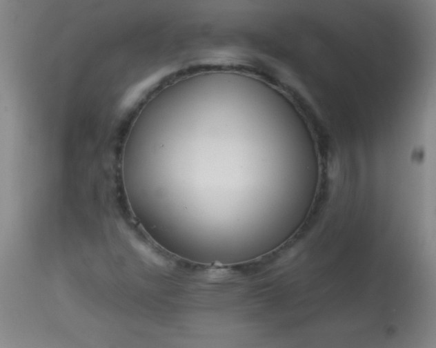 X0000113641304200910021907