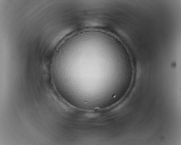 X0000113641305200910021907