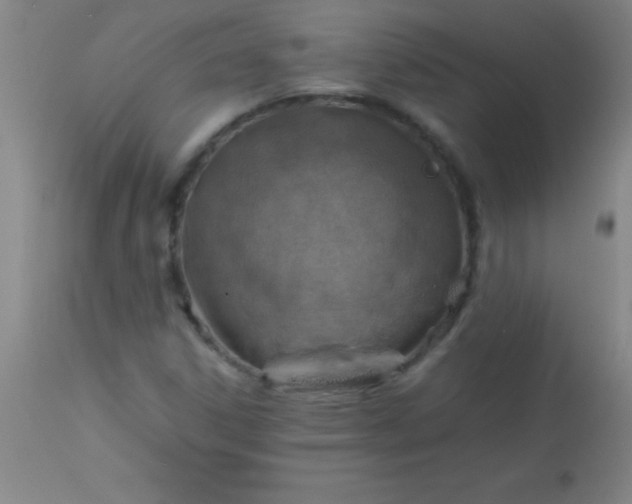 X0000113641306200910021907