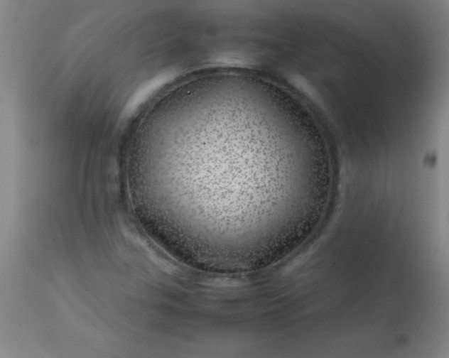 X0000113641307200910021907