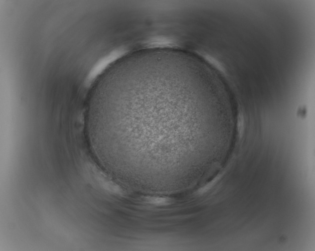 X0000113641309200910021907