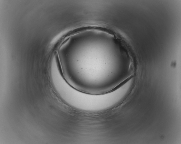 X0000113641310200910021907