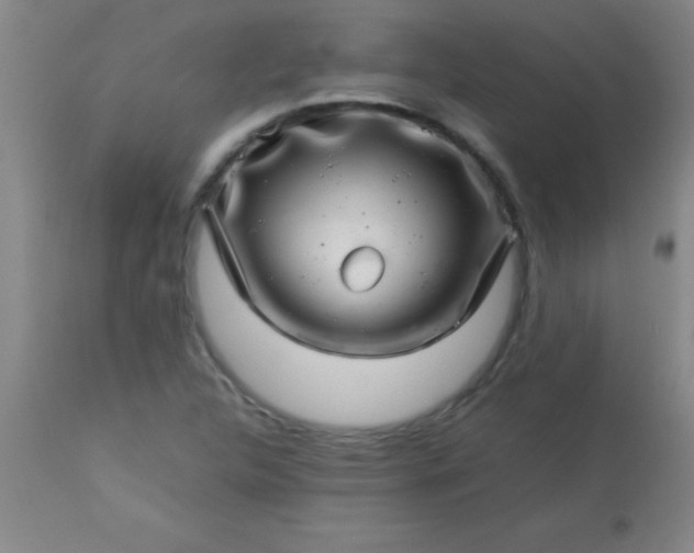 X0000113641312200910021907