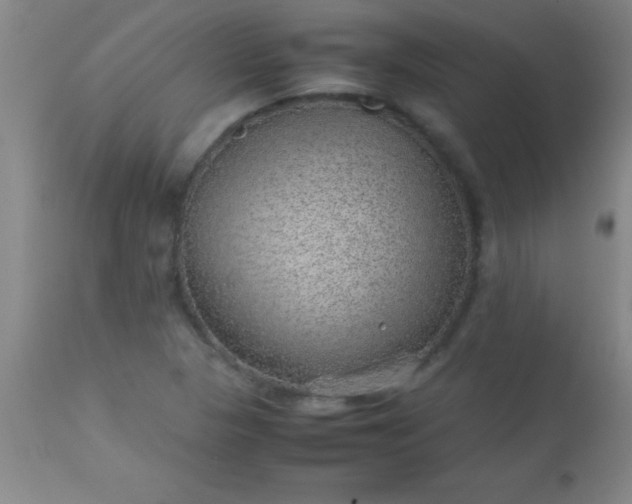 X0000113641313200910021907