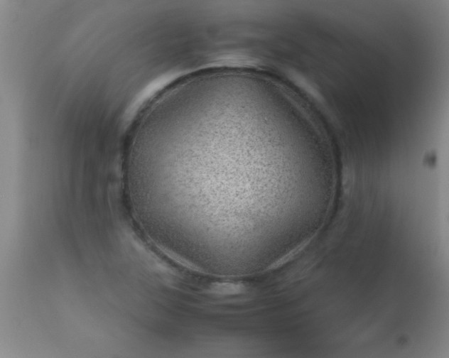 X0000113641315200910021907