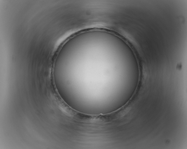 X0000113641316200910021907