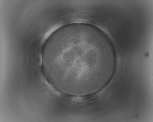 X0000113641317200910021907