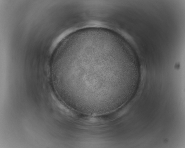 X0000113641318200910021907