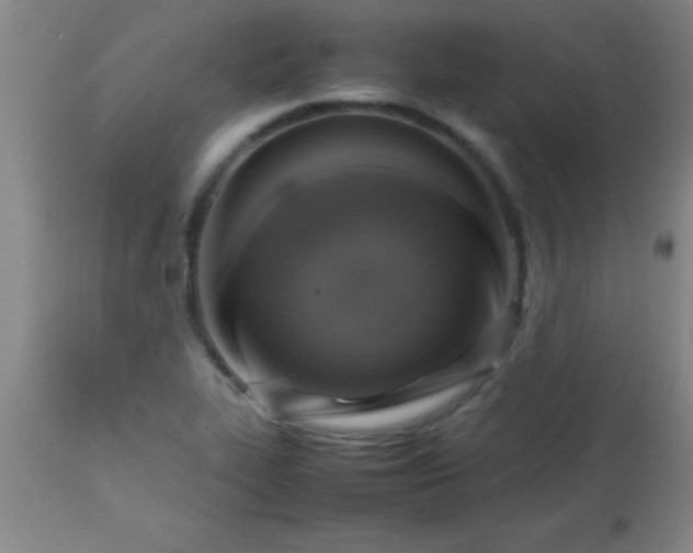 X0000113641319200910021907