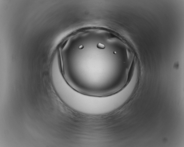 X0000113641320200910021907