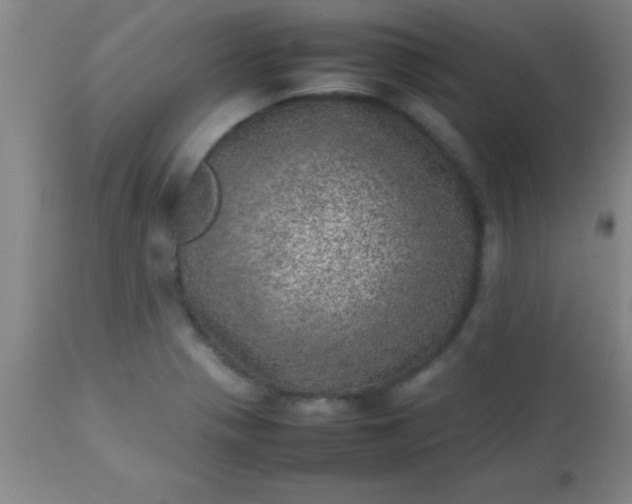 X0000113641321200910021907