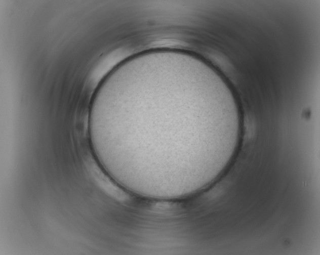 X0000113641322200910021907