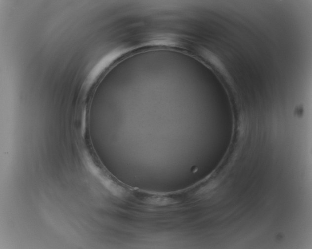 X0000113641323200910021907