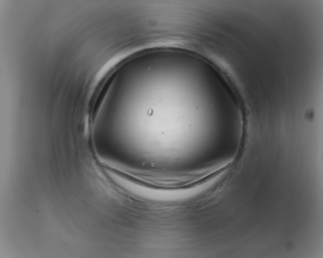 X0000113641324200910021907