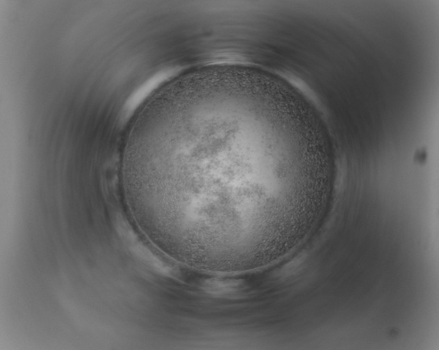 X0000113641325200910021907