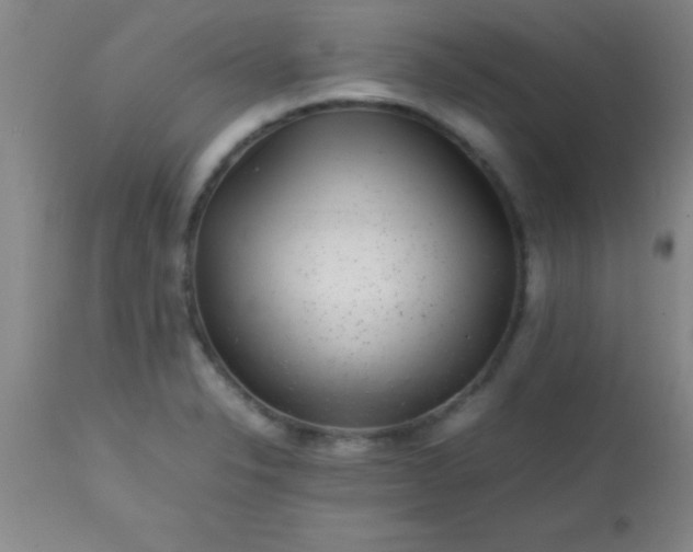 X0000113641326200910021907