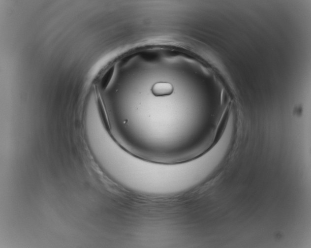 X0000113641328200910021907