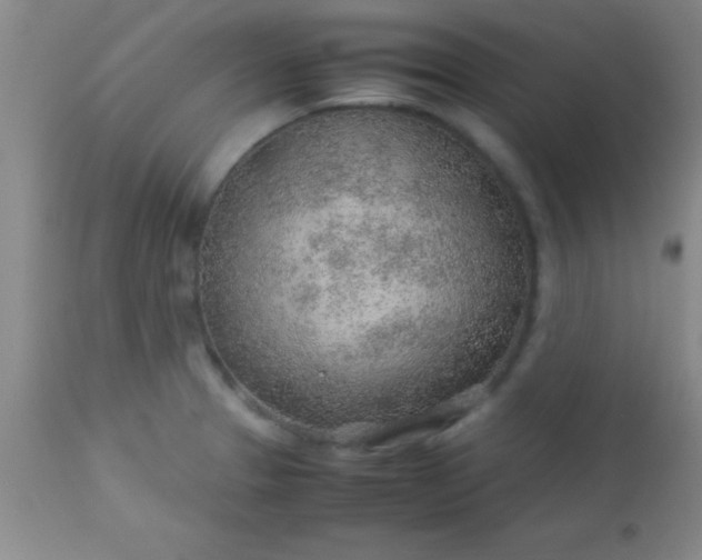 X0000113641329200910021907