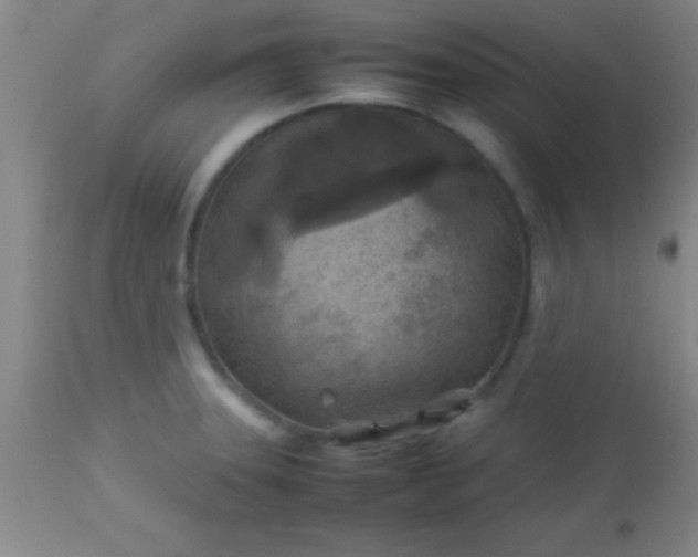 X0000113641331200910021907