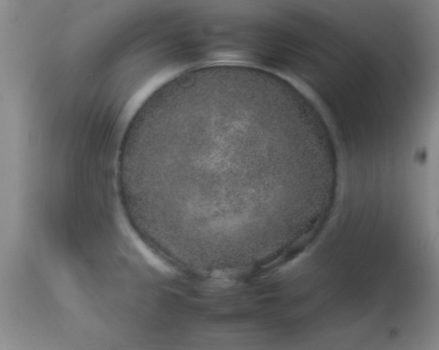 X0000113641333200910021907