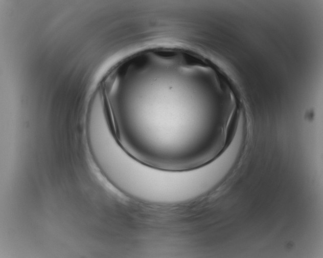 X0000113641334200910021907