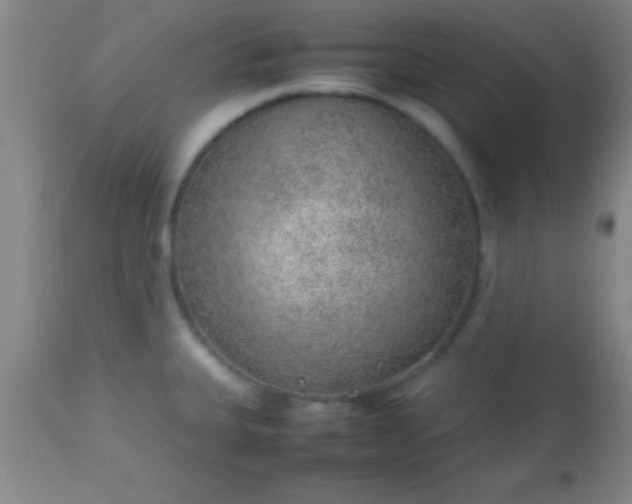 X0000113641335200910021907