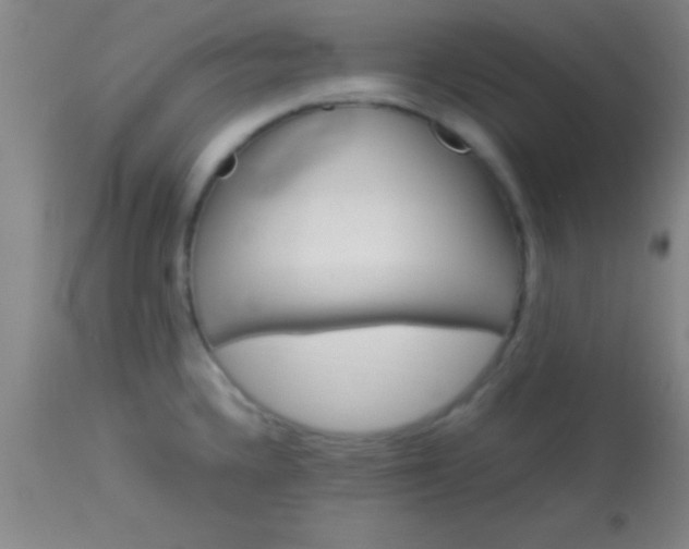 X0000113641336200910021907